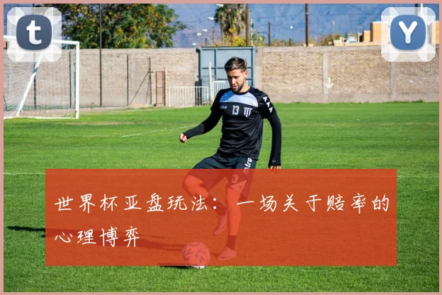 世界杯亚盘玩法:一场关于赔率的心理博弈