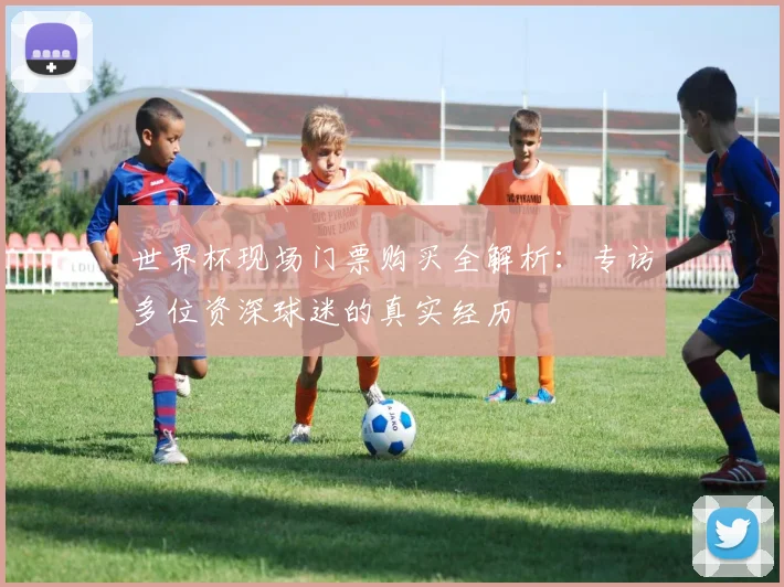 世界杯现场门票购买全解析：专访多位资深球迷的真实经历