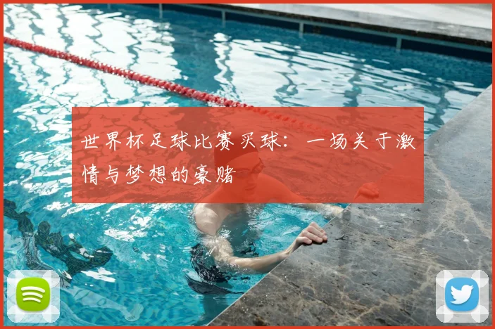 世界杯足球比赛买球：一场关于激情与梦想的豪赌