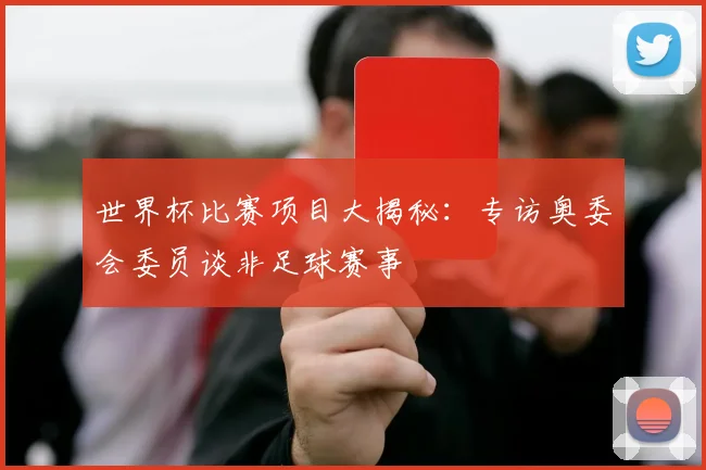 世界杯比赛项目大揭秘：专访奥委会委员谈非足球赛事