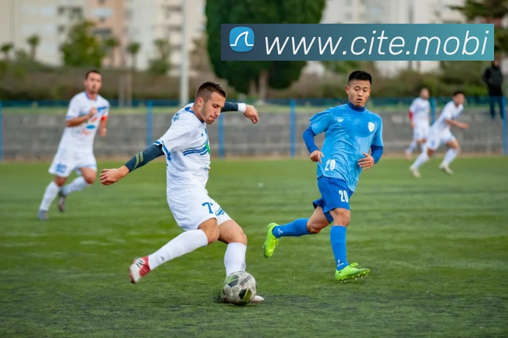 开云在线官方网站平台生态图