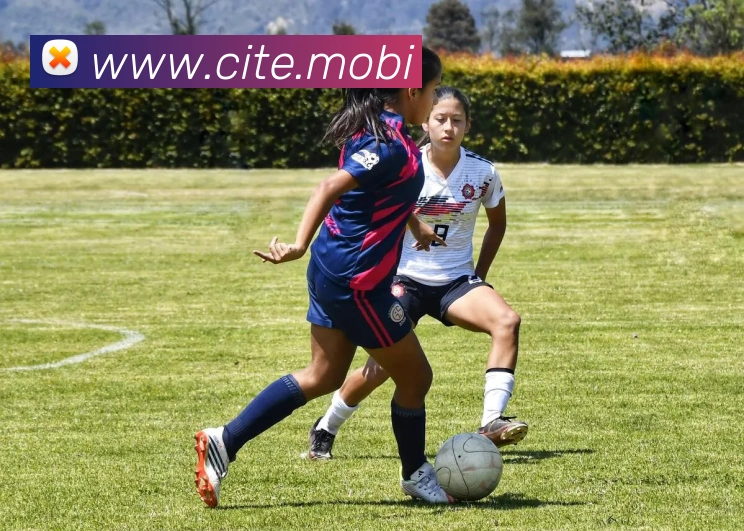 开云在线官方网站APP 封面图